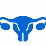 Gynecology (Women’s Imaging)
